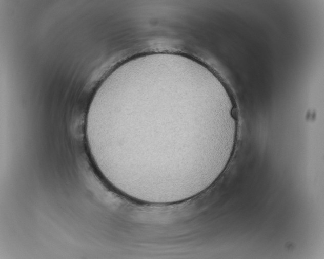 X0000111790009200909031209