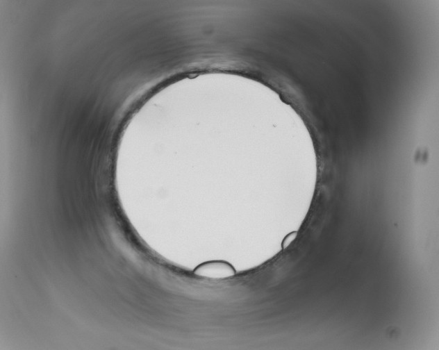 X0000111790012200909031209