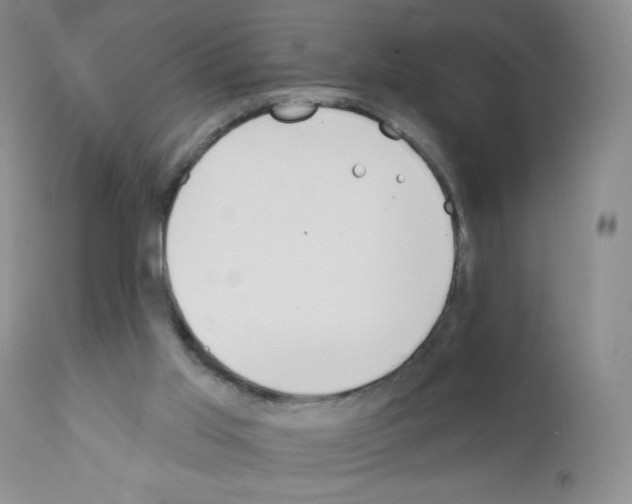 X0000111790013200909031209