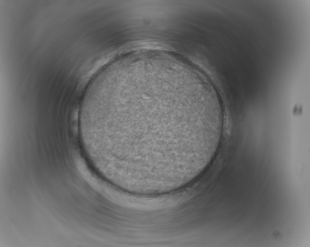 X0000111790014200909031209