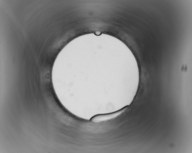 X0000111790017200909031209