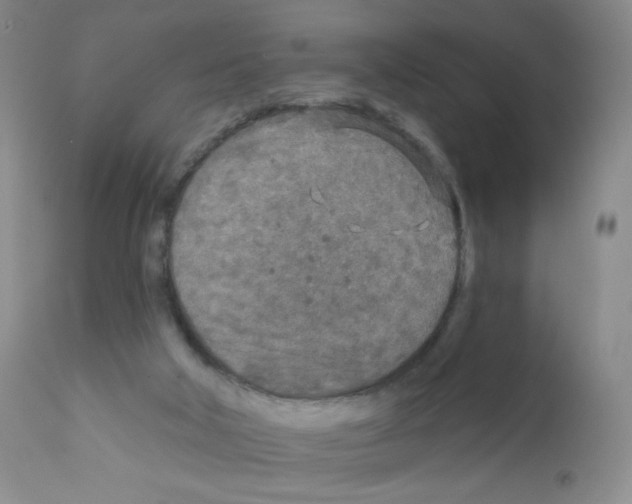 X0000111790018200909031209