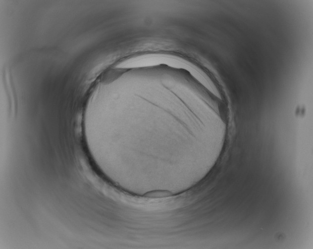 X0000111790019200909031208