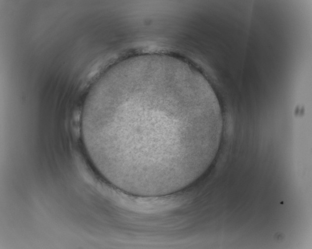 X0000111790022200909031208