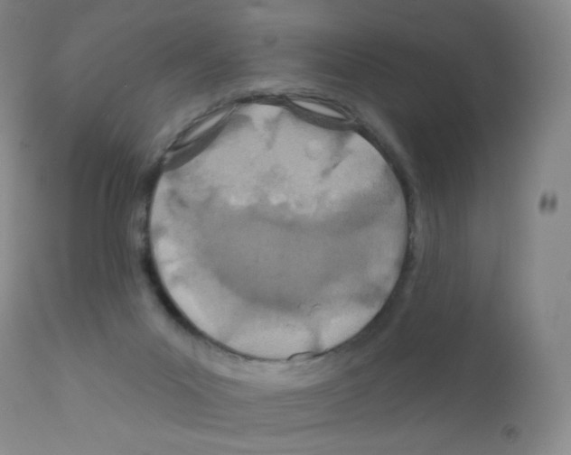 X0000111790023200909031208