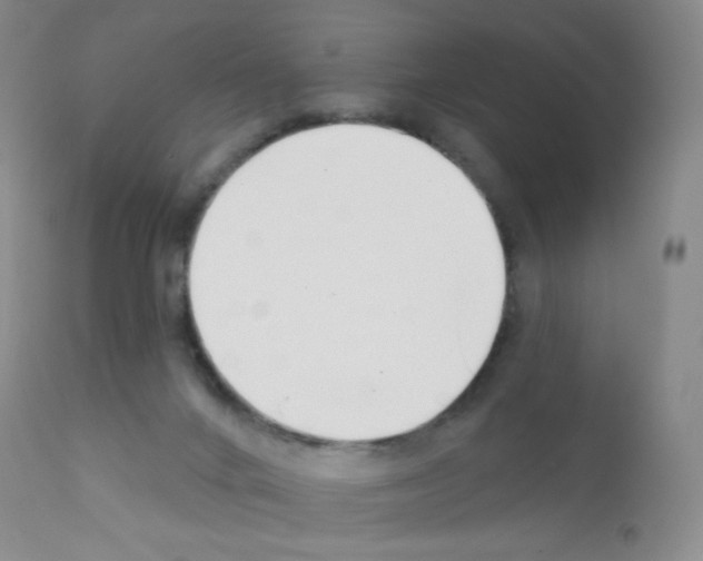 X0000111790024200909031208