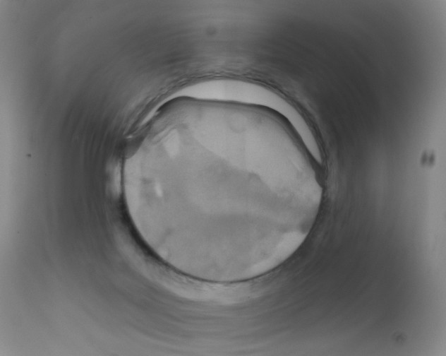 X0000111790027200909031208