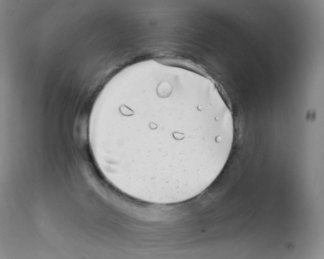 X0000111790028200909031208