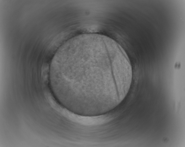 X0000111790030200909031208