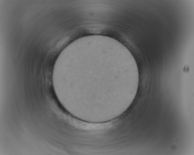 X0000111790031200909031208