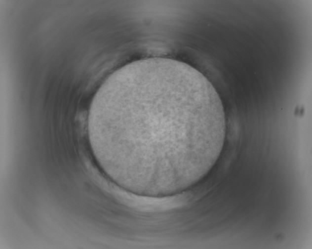 X0000111790034200909031208