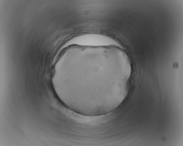 X0000111790035200909031208