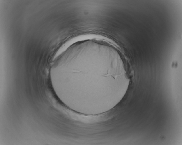 X0000111790039200909031208