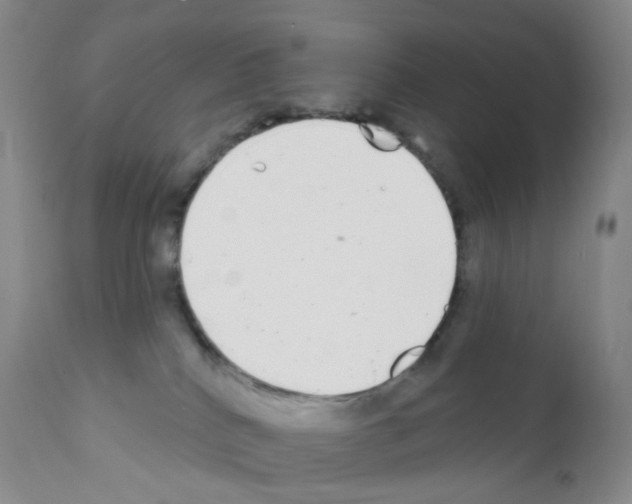 X0000111790040200909031208