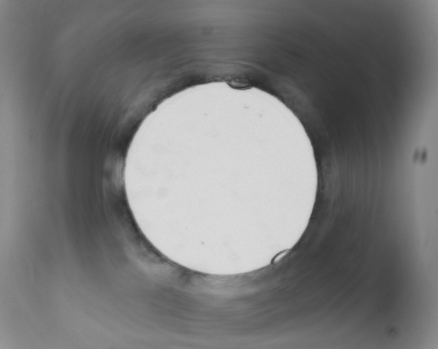 X0000111790041200909031208