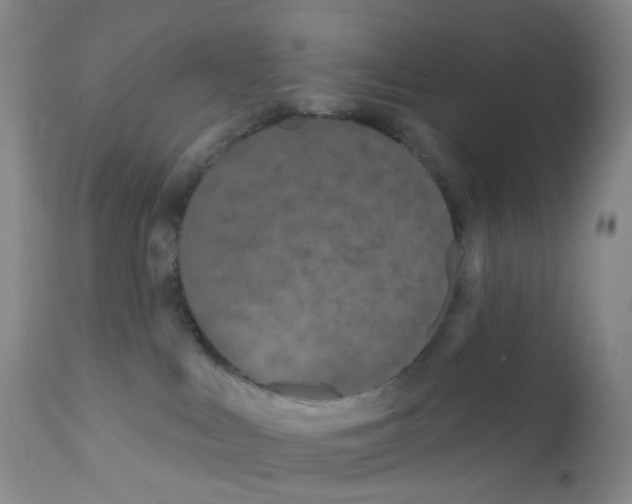 X0000111790043200909031208