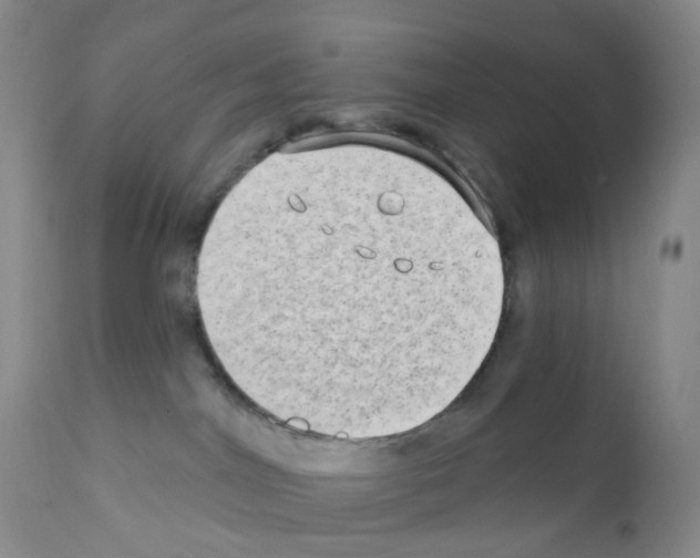 X0000111790044200909031208