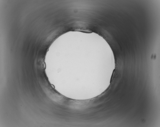 X0000111790045200909031208