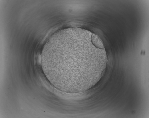 X0000111790046200909031208