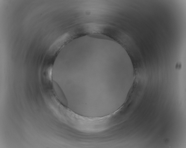 X0000111790047200909031208