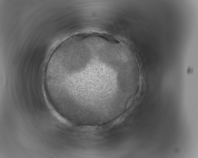 X0000111790049200909031207