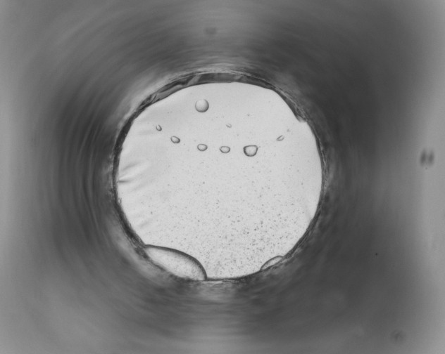 X0000111790050200909031207