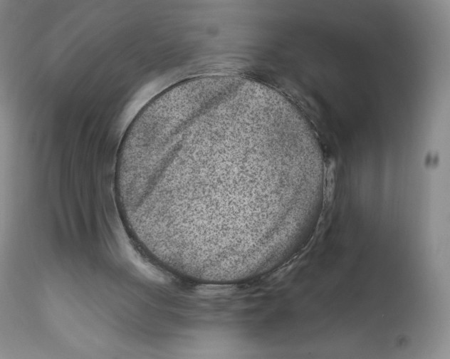 X0000111790051200909031207