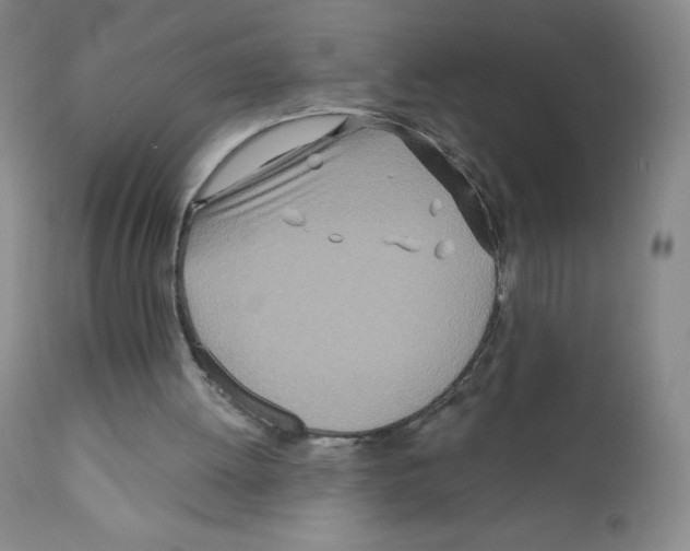 X0000111790052200909031207