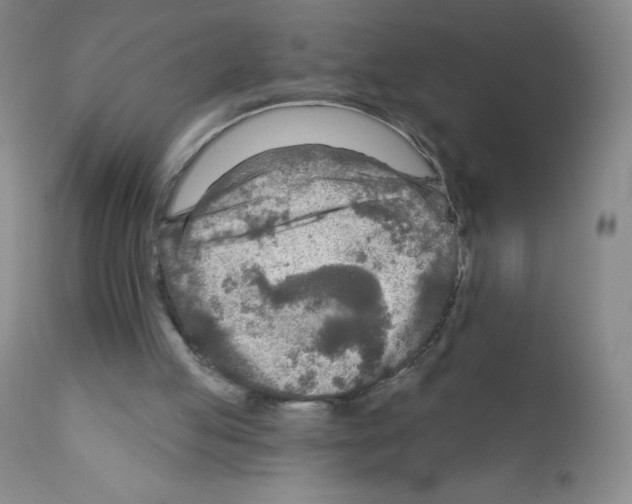 X0000111790053200909031207