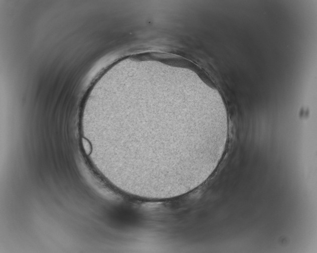 X0000111790054200909031207