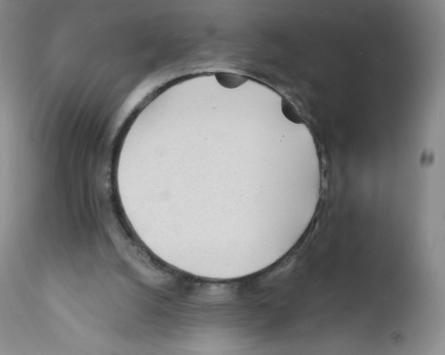 X0000111790056200909031207