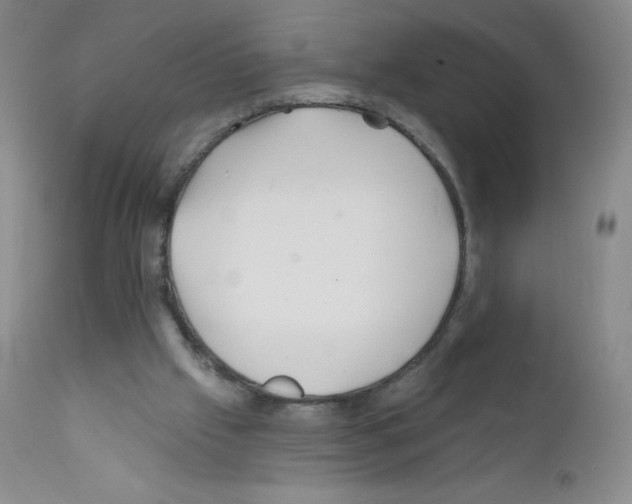 X0000111790057200909031207