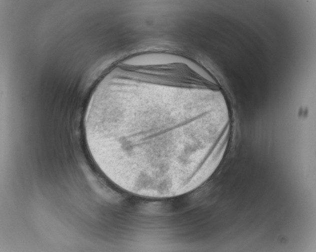 X0000111790058200909031207