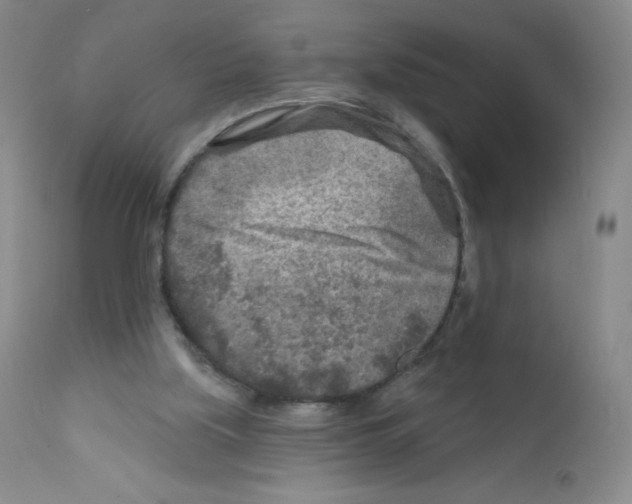 X0000111790059200909031207