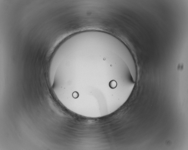 X0000111790060200909031207