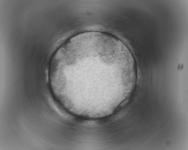 X0000111790061200909031208