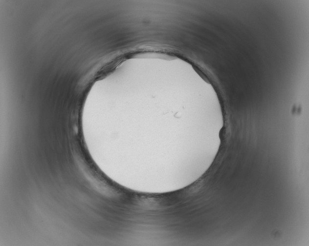 X0000111790062200909031208