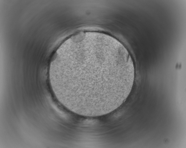 X0000111790063200909031208