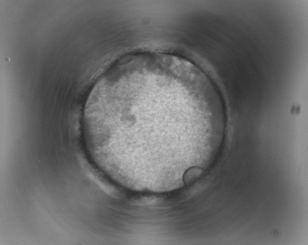 X0000111790065200909031208