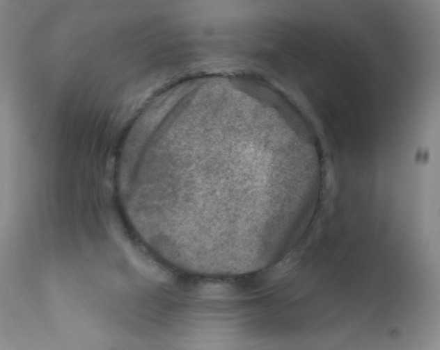 X0000111790066200909031208