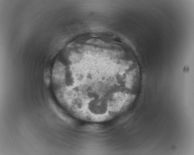 X0000111790069200909031208