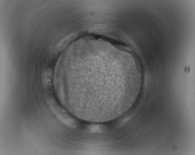 X0000111790073200909031208