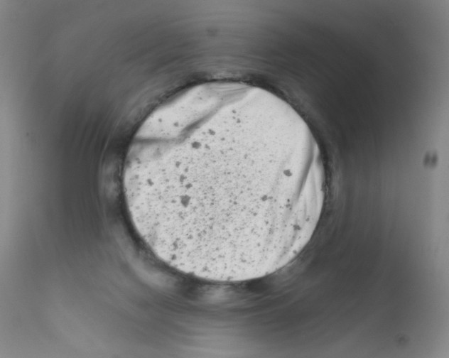 X0000111790074200909031208