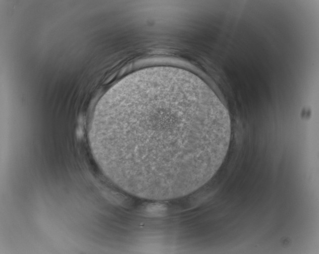 X0000111790075200909031208