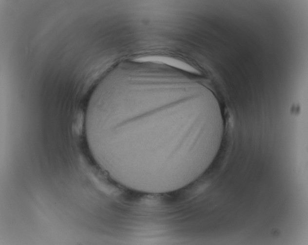 X0000111790076200909031208