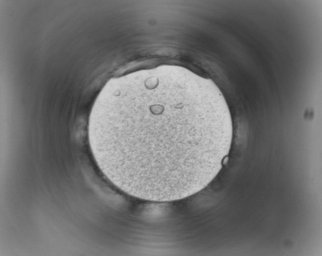 X0000111790077200909031208