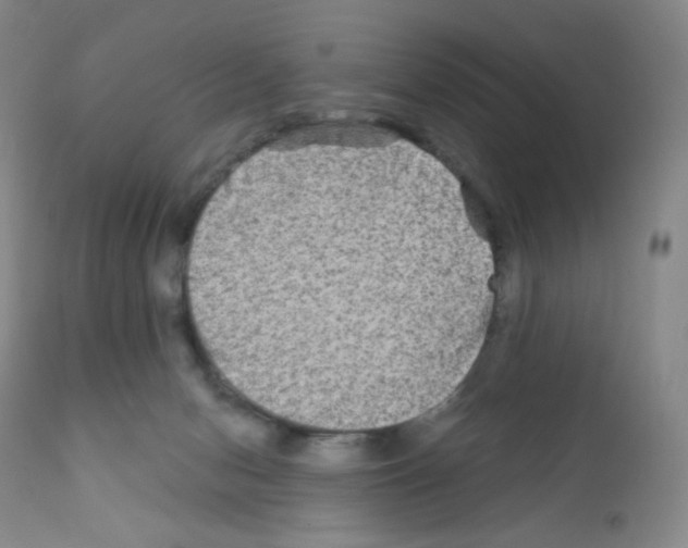 X0000111790078200909031208