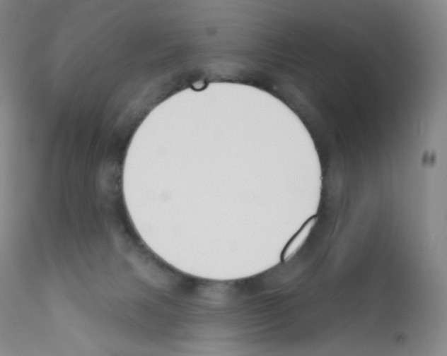 X0000111790079200909031208