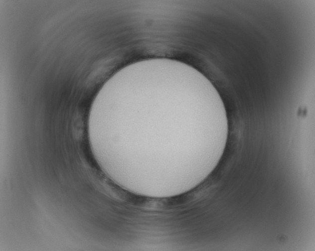 X0000111790080200909031208