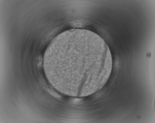 X0000111790081200909031208